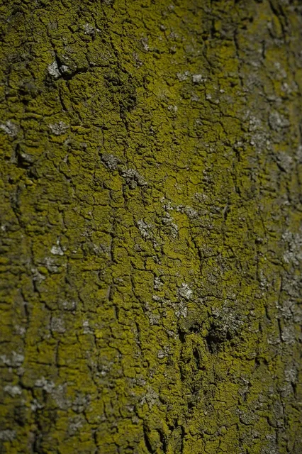 Musterfliesen